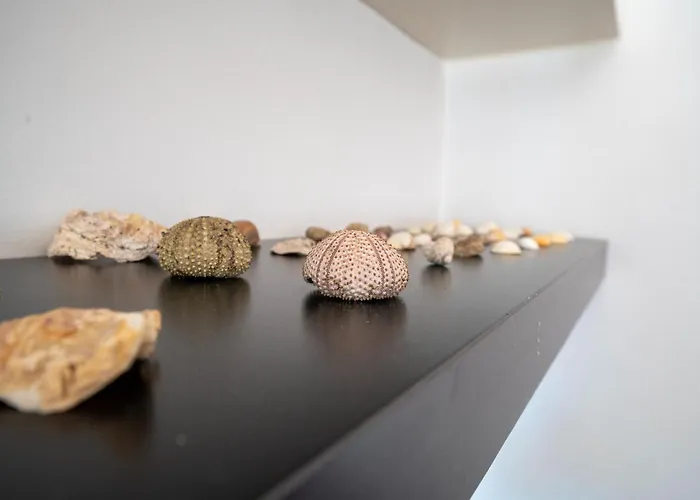 Cozy Retreat With Garden *